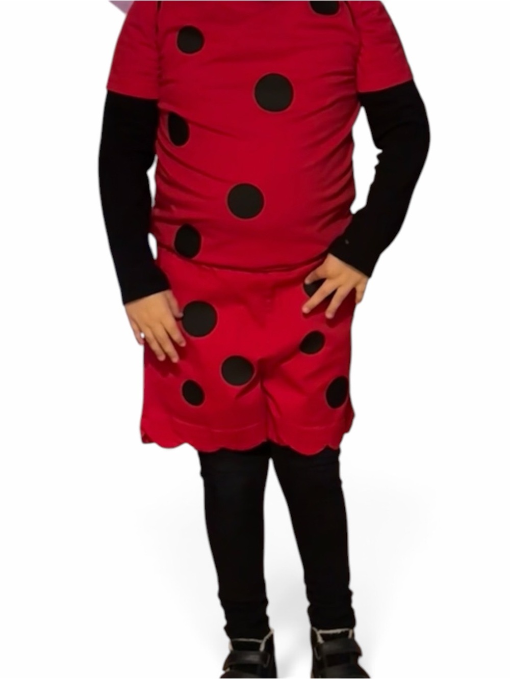 Girls Ladybug Costume Size 8-9